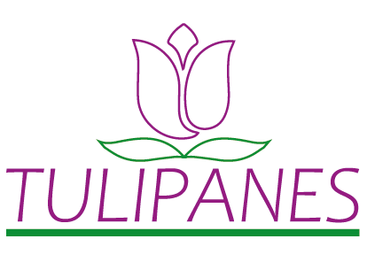 Tulipanes Logo