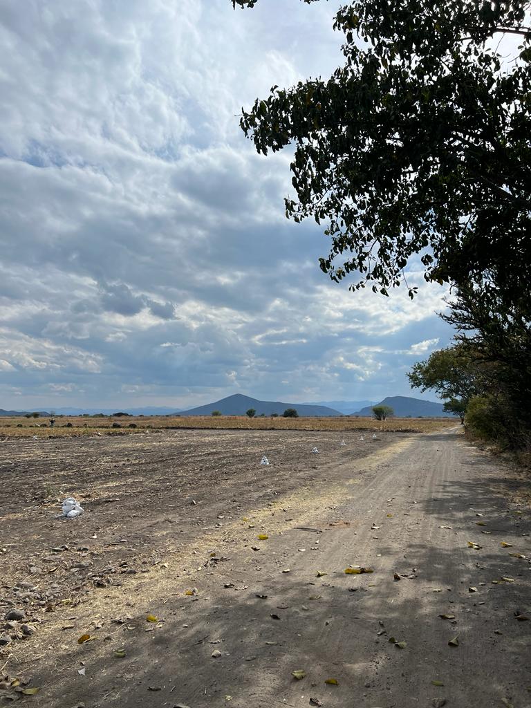 Plusvalía