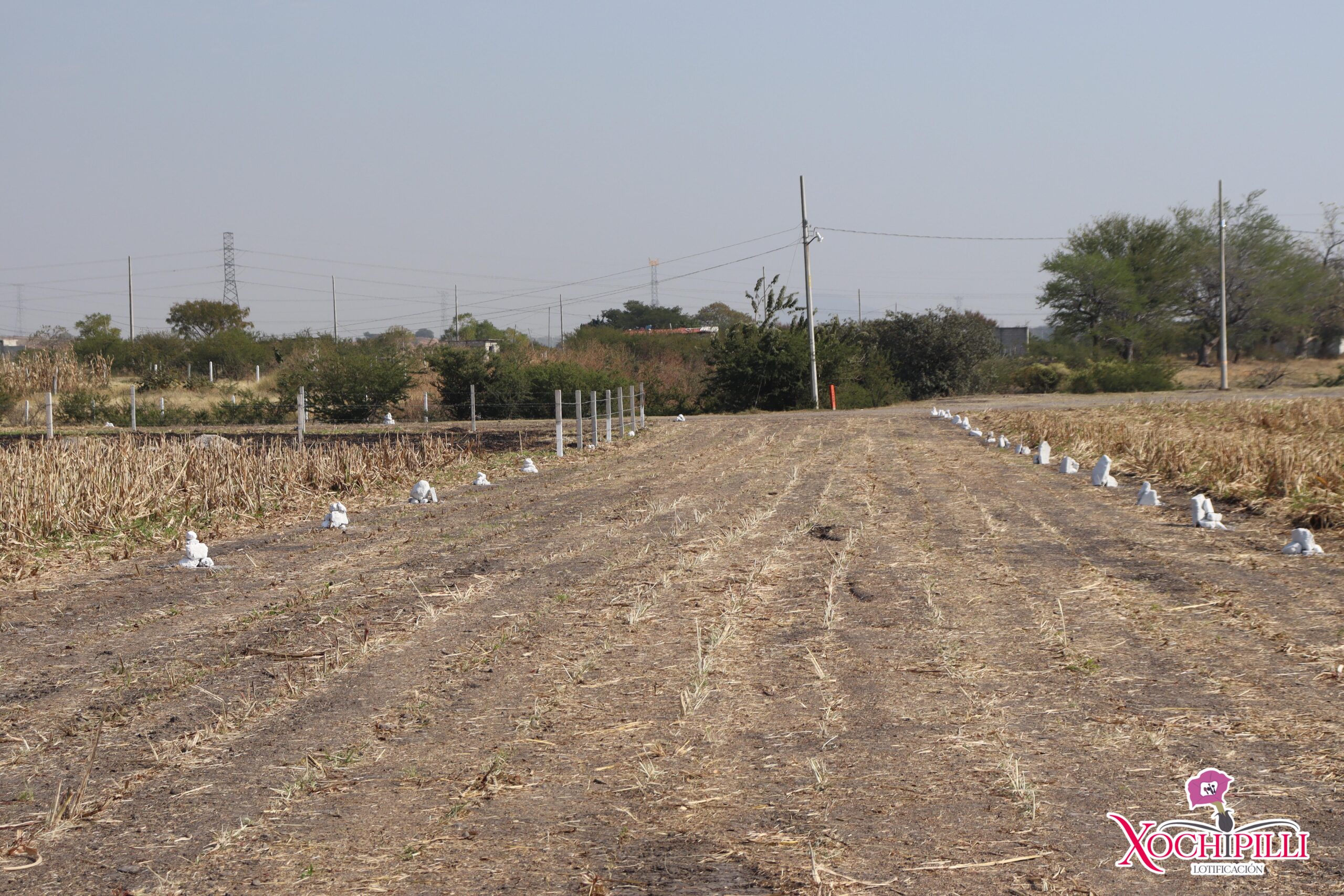Terreno Xochipilli