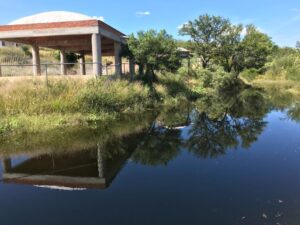 Imagen de WhatsApp 2023-11-28 a las 17.59.43_e39bfdfa