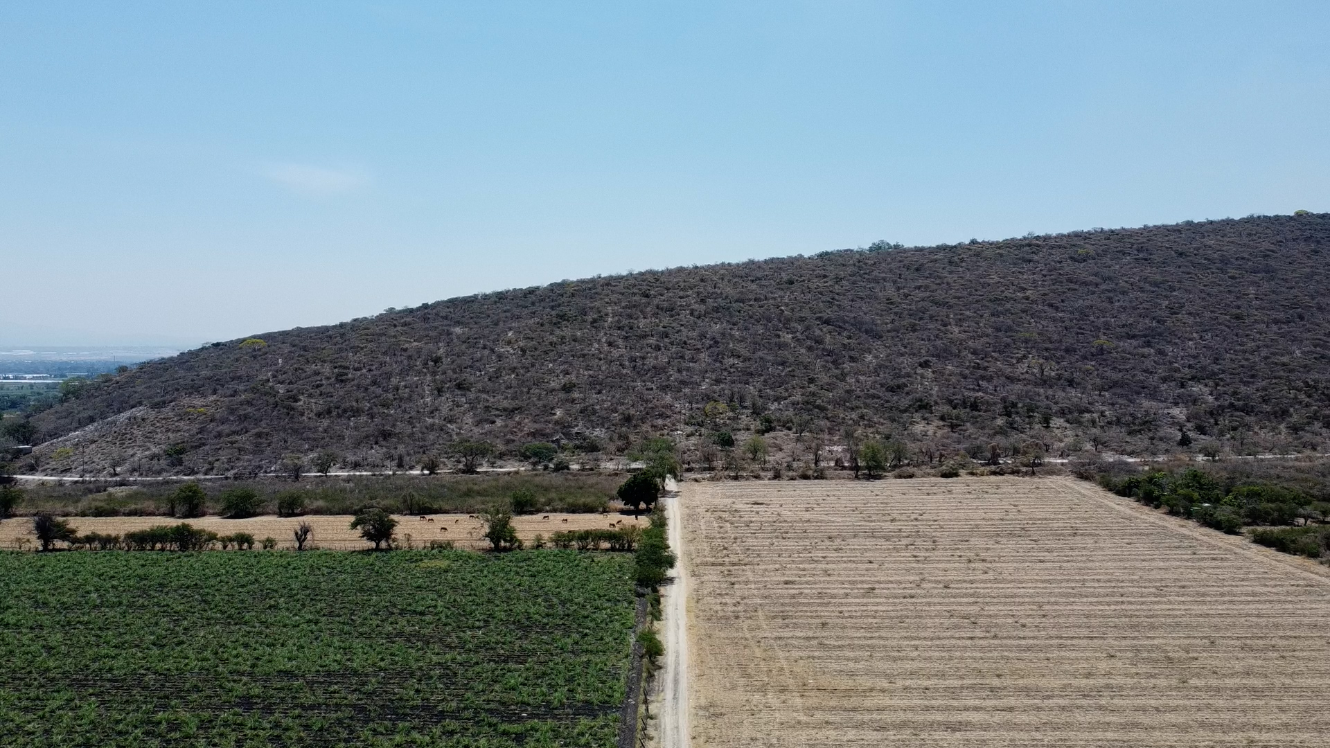 Lotes Urbanos